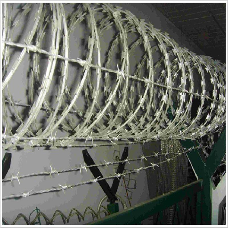 2278120375_670639971 2278120375_670639971