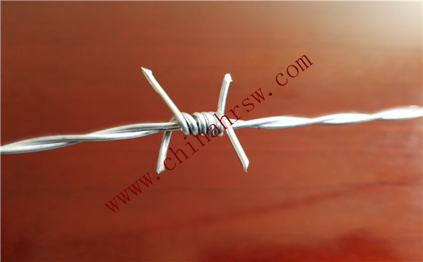 316不銹鋼刺繩 316不銹鋼刺繩