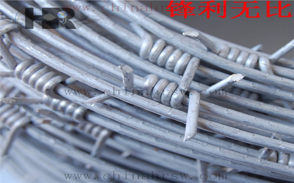 鐵蒺藜防護(hù)網(wǎng)細(xì)節(jié)圖 鐵蒺藜防護(hù)網(wǎng)細(xì)節(jié)圖