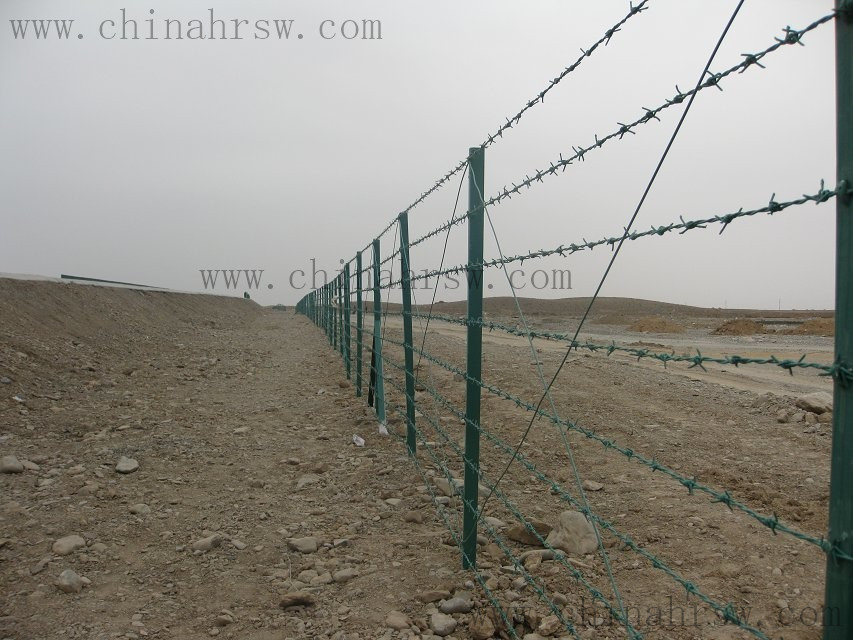 刺繩44_副本.jpg 刺繩44_副本.jpg