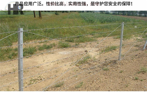 刺繩防護網(wǎng) 刺繩防護網(wǎng)