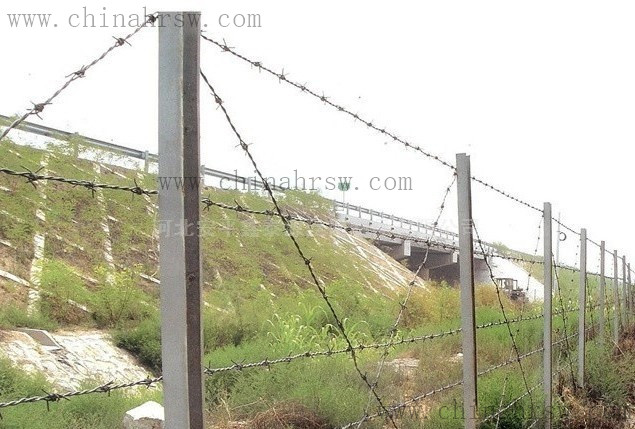 刺繩6_副本.jpg 刺繩6_副本.jpg