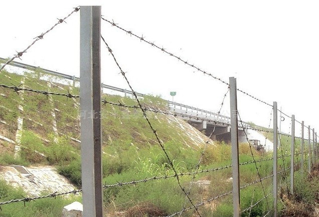 刺繩防護網(wǎng) 刺繩防護網(wǎng)