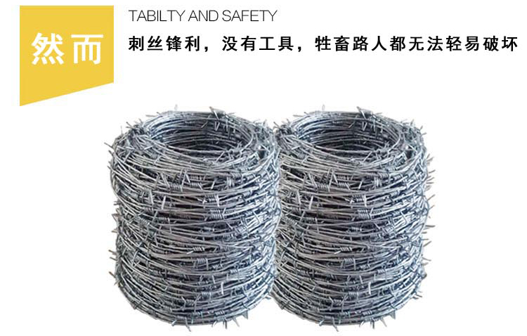 刀片刺繩防護網(wǎng) 刀片刺繩防護網(wǎng)