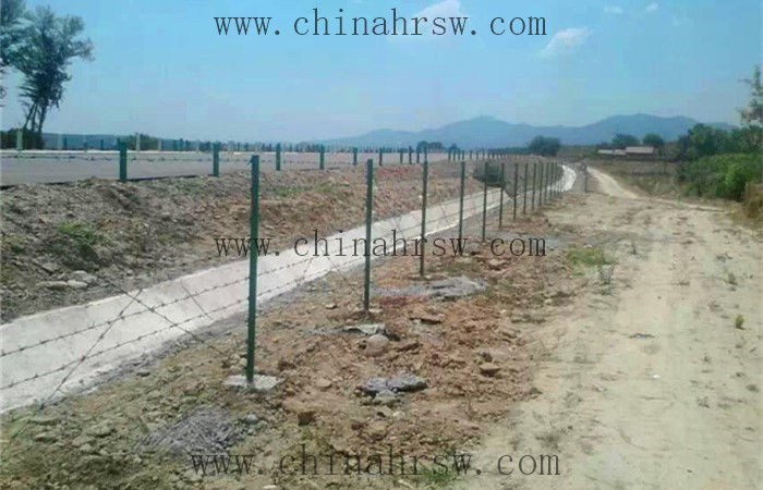 刺繩防護(hù)網(wǎng)安裝 刺繩防護(hù)網(wǎng)安裝