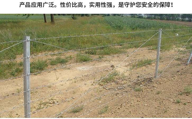 刺繩圍欄 刺繩圍欄