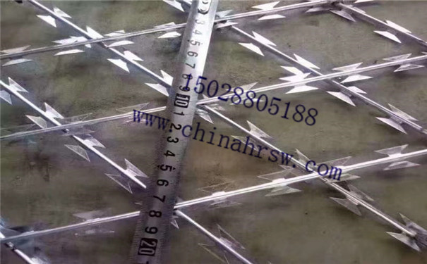 刺繩防護(hù)網(wǎng)細(xì)節(jié) 刺繩防護(hù)網(wǎng)細(xì)節(jié)