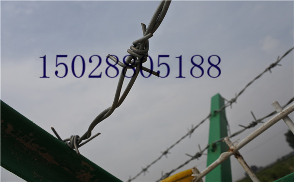 DSC_0294.jpg DSC_0294.jpg