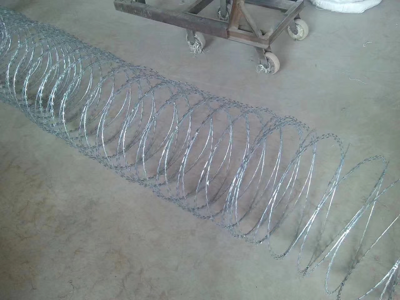 mmexport1521927662935.jpg mmexport1521927662935.jpg