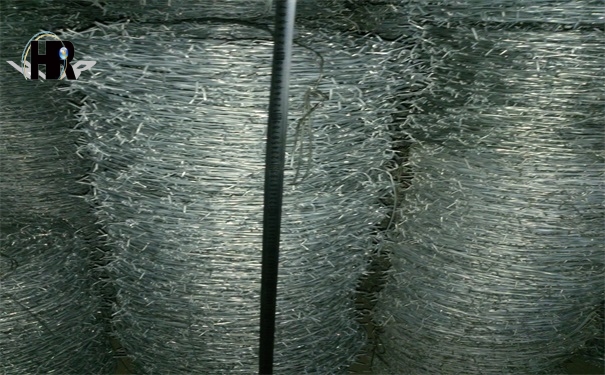 DSC_1361.jpg DSC_1361.jpg