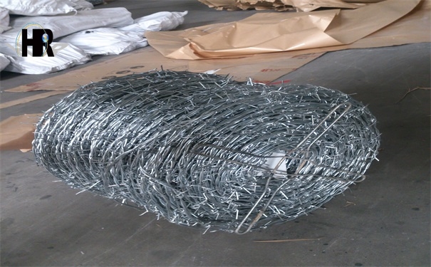 DSC_1335.jpg DSC_1335.jpg