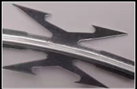 mmexport1513300227075.jpg mmexport1513300227075.jpg