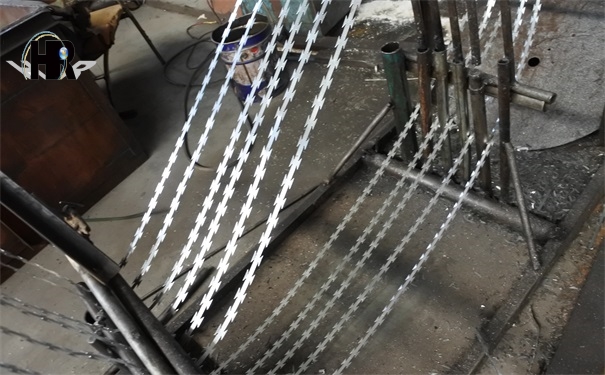 DSC_0212.JPG DSC_0212.JPG