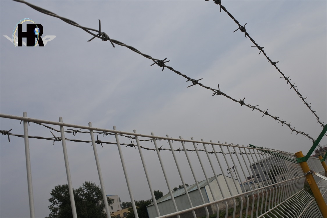 刺繩護(hù)欄網(wǎng) 刺繩護(hù)欄網(wǎng)