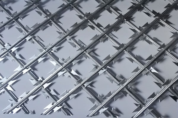 水庫(kù)水源地保護(hù)用刀片刺網(wǎng) 水庫(kù)水源地保護(hù)用刀片刺網(wǎng)